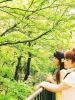HANA/RICO